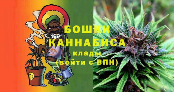 мдпв Зеленодольск