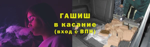 сатива Зерноград