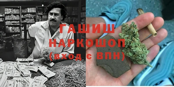 сатива Зерноград