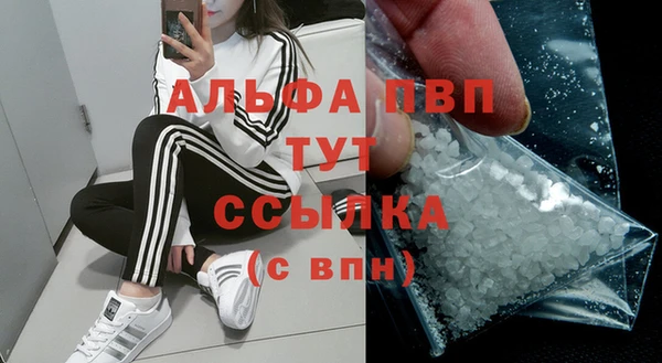 сатива Зерноград
