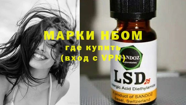 сатива Зерноград