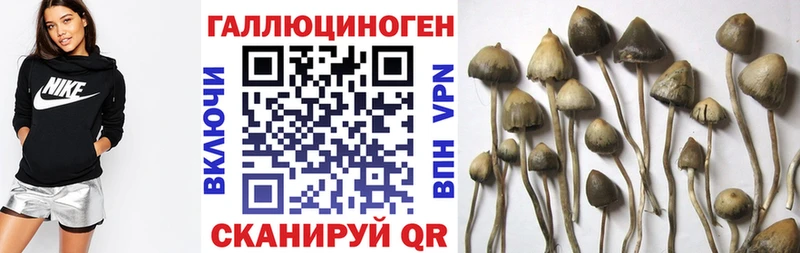 Купить закладки Калач-на-Дону Псилоцибиновые грибы MAGIC MUSHROOMS
